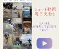 大好評！！『ショート動画』毎日アップしてます♪